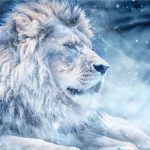 phát triển tâm linh là con đường tự thân sử dụng nội lực của bản thân mình